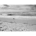 thumbnail image 2 of Miller, Anna 32x25 Gold Ornate Wood Framed with Double Matting Museum Art Print Titled - Black and white Beach-Sanibel Island-Florida-USA, 2 of 4