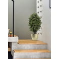 thumbnail image 2 of Serene Spaces Living Faux Oval Boxwood Topiary Tree in Pot, 14" Dia & 24" Tall, 2 of 3