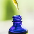 thumbnail image 5 of Dr. Rydland's Pleasant Tasting Herbal Formula - Parasite (2oz), 5 of 8