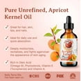 thumbnail image 2 of Organic Cold-Pressed Apricot Kernel Oil 100% Pure Skin Hair Face Moisturizer, 2 of 8