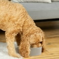 thumbnail image 3 of Cuenco de cerámica para perros, recipiente para comida y agua para mascotas, pesado y duradero, apto para lavavajillas, moderno, 3 of 5