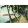 thumbnail image 2 of Art.com Palm Beach, Florida - View of the Walk Along Lake Worth Stretched Canvas Print Wall Art by Lantern Press, 36" x 24", 2 of 4