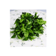 thumbnail image 4 of 6pcs Adornos Decoración Hogar De Plantas Artificiales Green1 hoja verde, 4 of 5