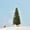 D, variant on 2.6Inch Small Christmas Tree Christmas Decorations Mini Christmas Trees,Artificial Christmas Tree Bottle Brush Trees with Wooden Base for Christmas Decor Christmas Party Home Table Craft