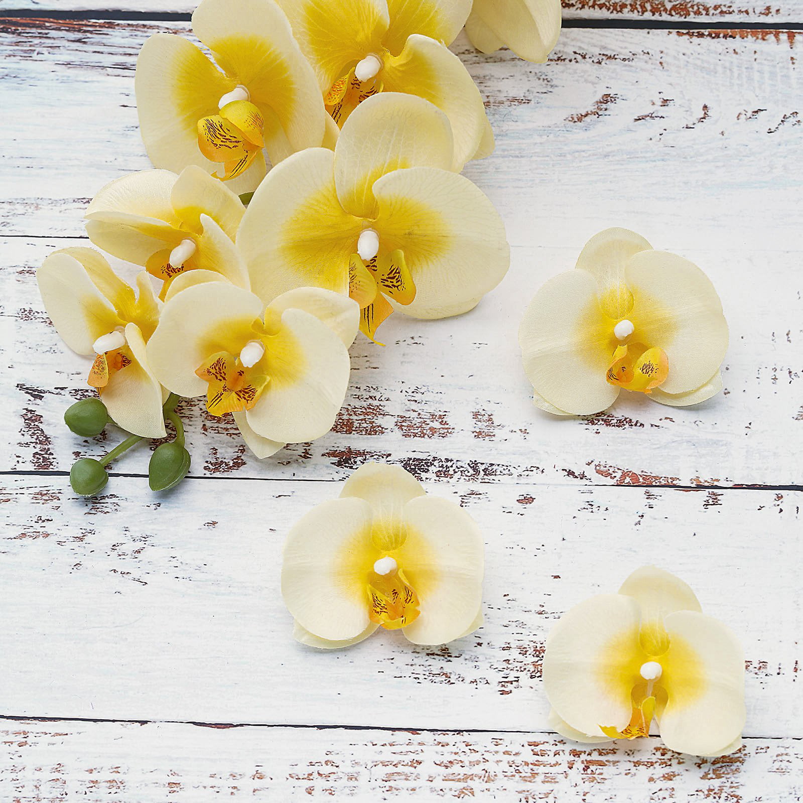 20 White Orchid Silk Petal Flower Heads Artificial Wedding Bridal Decor Wall