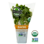 Sprout House Potted Basil Herb Plant