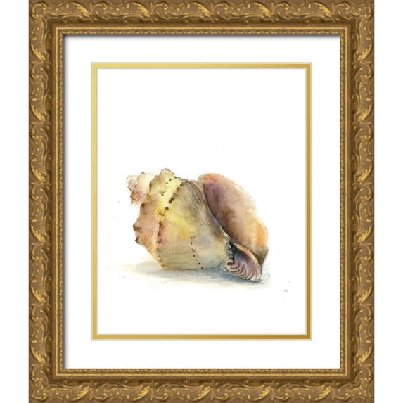Shefranov, Olga 15x18 Gold Ornate Wood Framed with Double Matting Museum Art Print Titled - Shell II