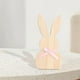 thumbnail image 5 of Letrero de madera de conejito de Pascua, adorno de conejo para festivales de granja y restaurantes. Azul, 5 of 9