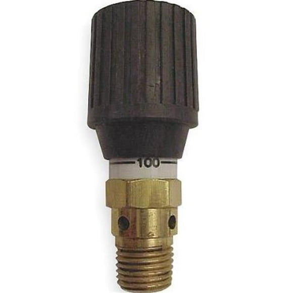 0.25 in. Brass Bleeder Valve