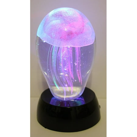 Hand Blown Glass Paperweight - 4.5