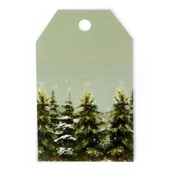 Evergreen Trees Glossy Gift Tags with Hole Punched At The Top For Ribbon, 2.25 x 3.5 Inch, 50 Pack (pte050) - Holiday Gift Wrap Supplies