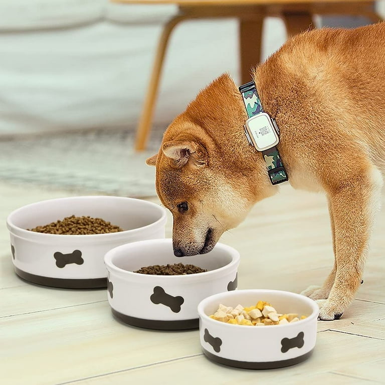 SWEEJAR Ceramic Dog Bowls with Bone Pattern, Dog Food Dish for Small Dogs,  Porcelain Pet Bowl,16 oz (White) 