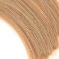 thumbnail image 2 of Resin Long Grass Model Making Train Railways Scale Hand-made Material Toys Layout Supplies for Sand Table Brown, 2 of 9