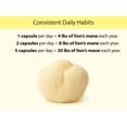thumbnail image 5 of Organic Lion's Mane Capsules, 5 of 7