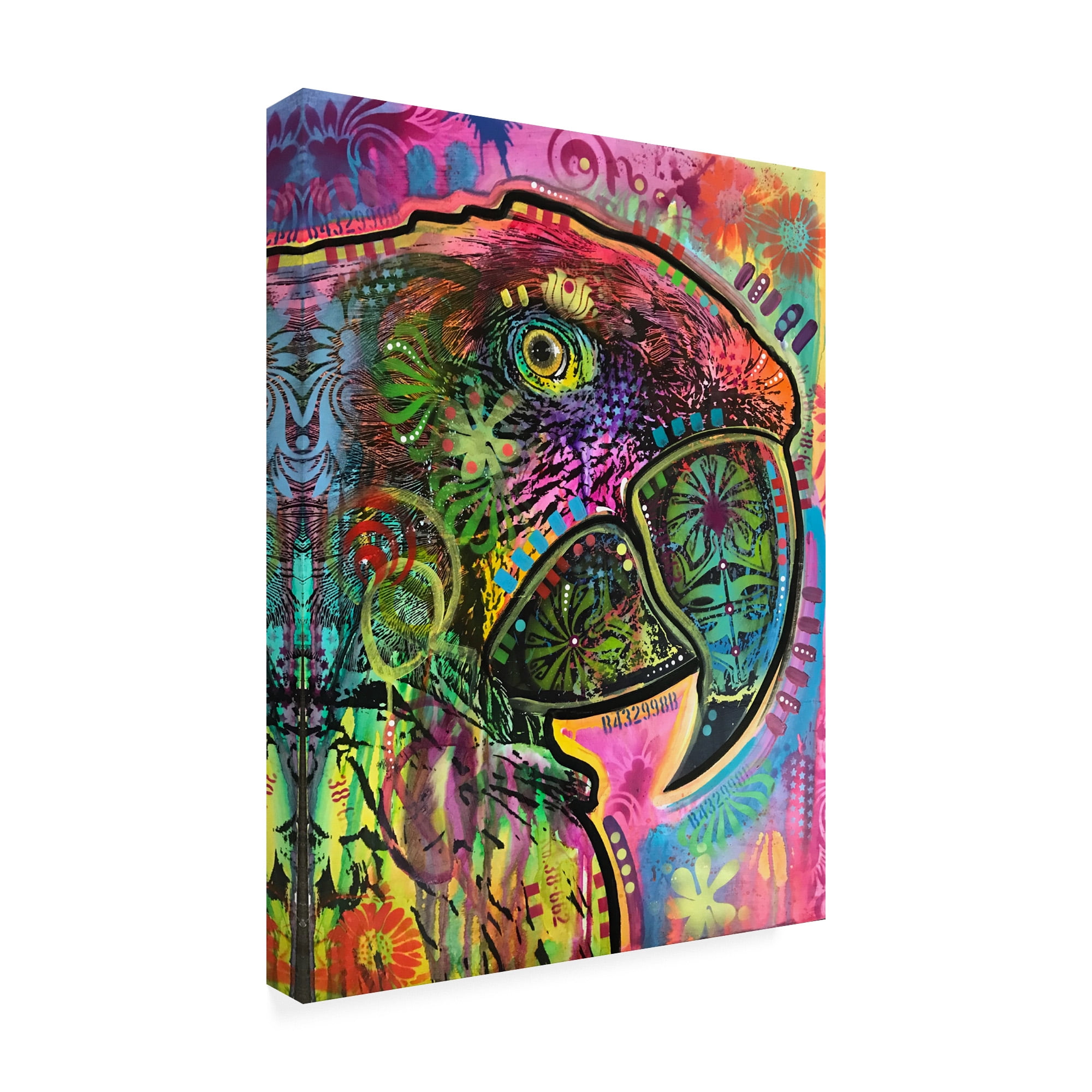 Trademark Fine Art 'Close Up Parrot' Canvas Art by Dean Russo