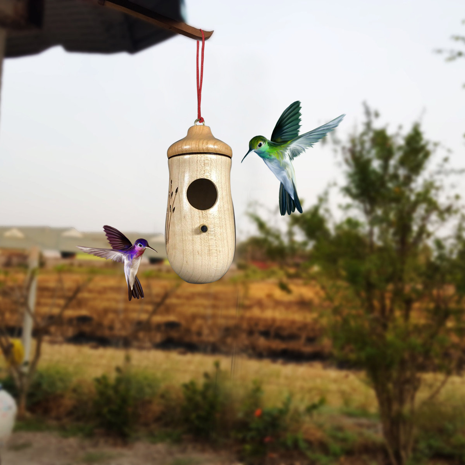 Hummingbird House 2022 New Wooden Hummingbird House For Outside Hanging ...