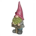 thumbnail image 5 of Alpine Corporation 19"H Garden Gnome with Red Hat Holding “Welcome” Sign, 5 of 6