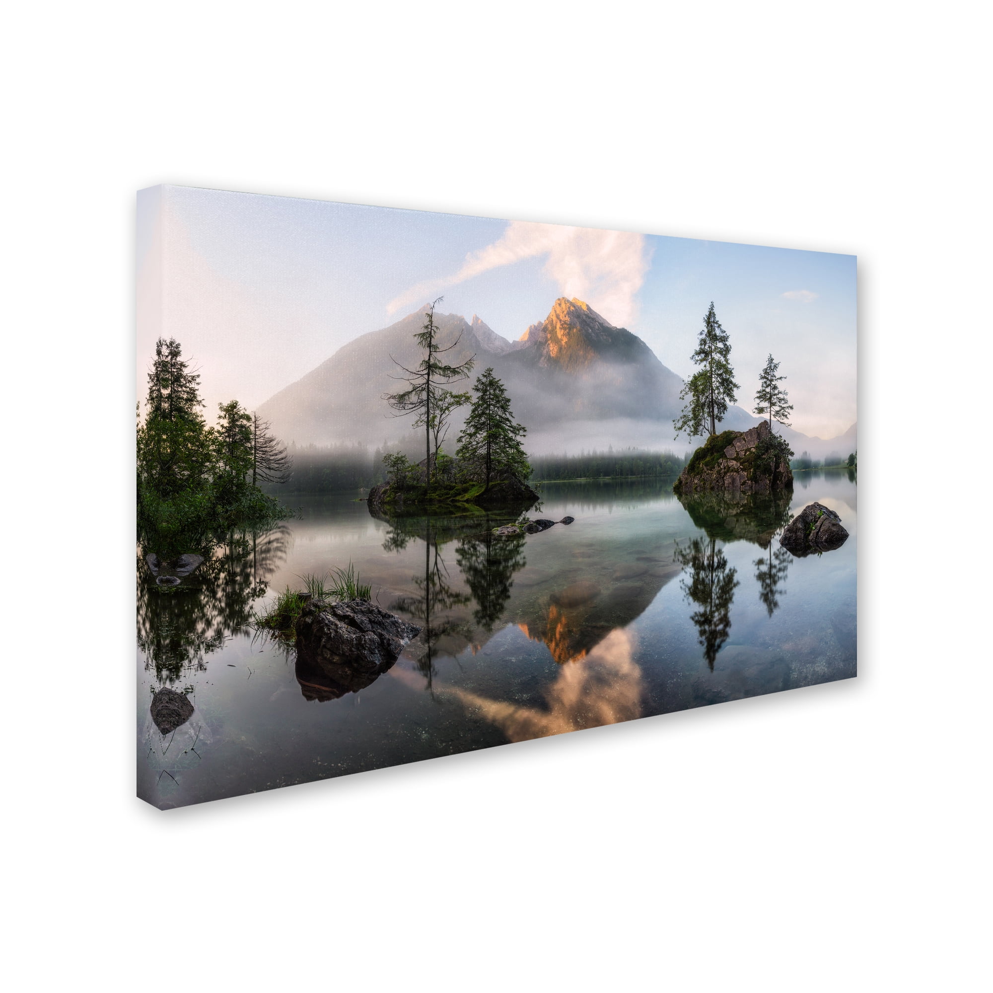 Daniel F 'Natures Awakening' Canvas Art
