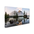 thumbnail image 2 of Daniel F 'Natures Awakening' Canvas Art, 2 of 3