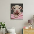 thumbnail image 4 of Paint by Numbers Kit for Adults, Cute Puppy Pink Blanket Paint by Numbers, Easy Paint by Numbers Kit for Adults Beginner, DIY Adult Paint by Number Kits on Canvas, Home Decor, 4 of 7