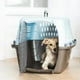 thumbnail image 2 of Petmate 21231 Caseta de dos puertas para mascotas, Azul perla/ Marrón, 24.05 x 16.75 x 14.5, 2 of 5