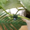 thumbnail image 5 of 100 Pcs Plant Clips Orchid Clips Plant Orchid Support Clips Flower Vine Clips for Supporting Stems Vines Stalks Climbing Plants Grow Upright, 5 of 7