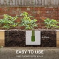 View all media