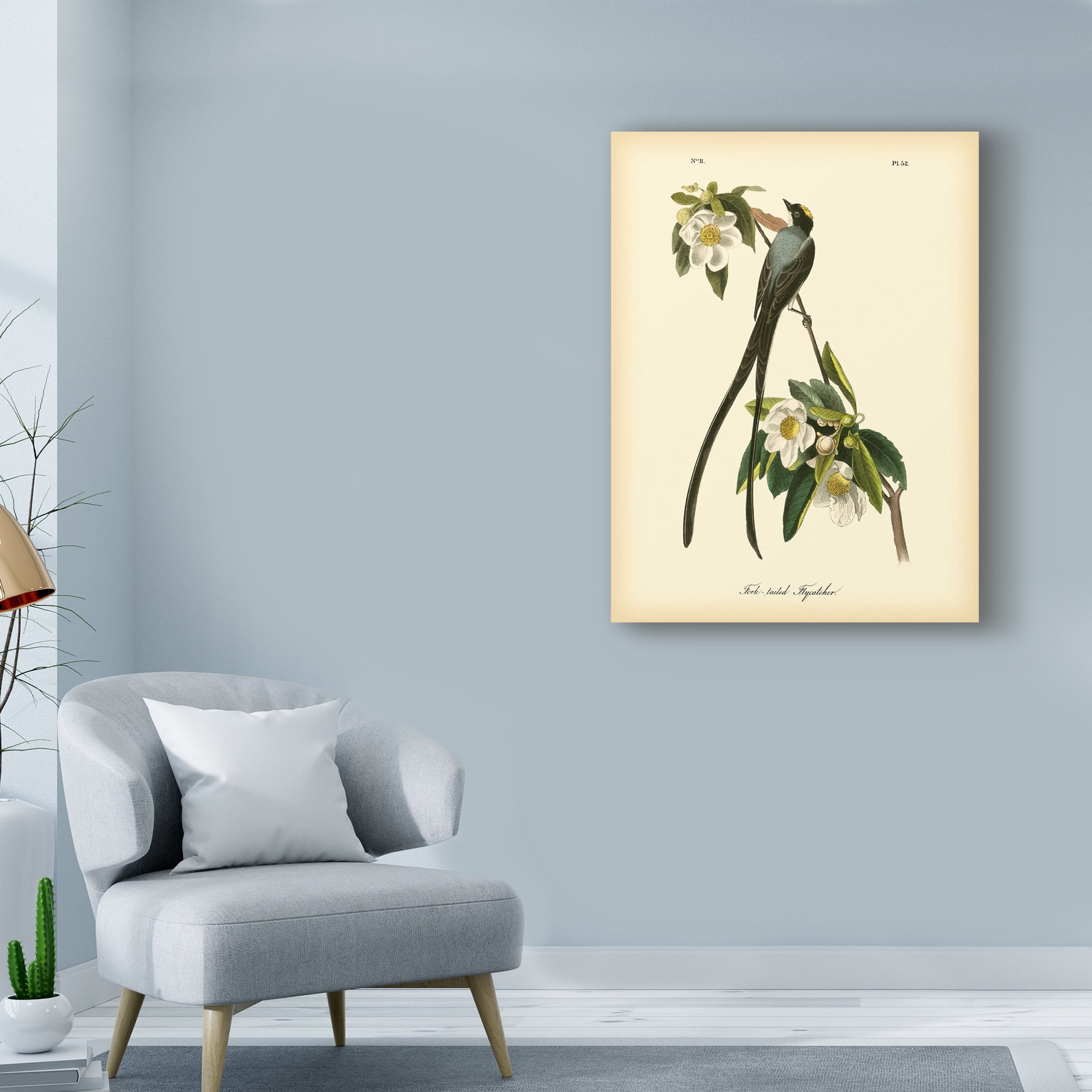 Trademark Fine Art 'Fork tailed Flycatcher' Canvas Art by John James Audubon