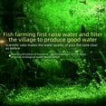thumbnail image 1 of Material de filtro de pecera Material de filtro de pecera de tortuga Caja de goteo Bacterias Bola bioquímica de la casa Anillo de cerámica del filtro de acuario Purificación de agua, 1 of 4