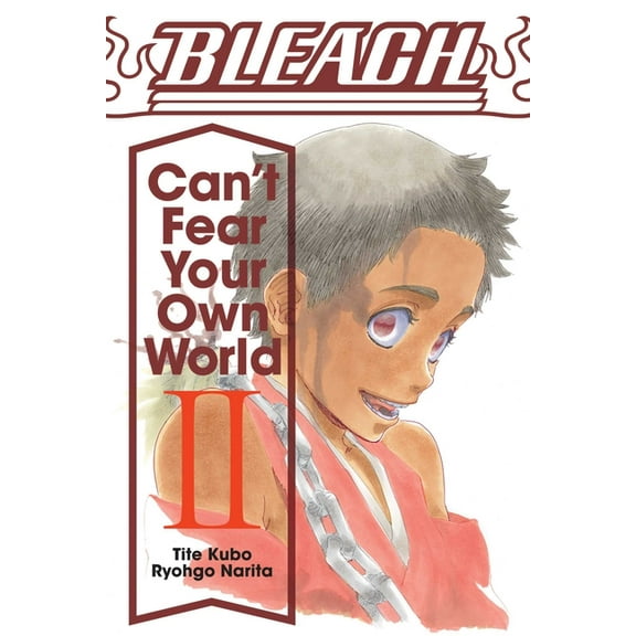 Bleach: Can't Fear Your Own World Bleach: Can't Fear Your Own World, Vol. 2, Book 2, (Paperback)