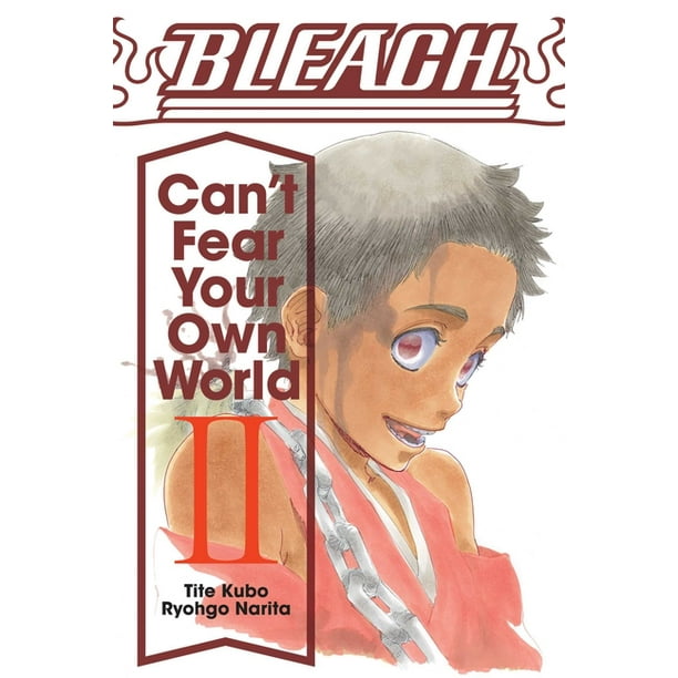 Bleach Can T Fear Your Own World 2 Paperback Walmart Com