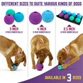 thumbnail image 2 of Chew King Balles à Rapporter Extrêmement Durables Jouet en Caoutchouc Naturel Lot de 3 - Balles de 3 Pouces (CM-0263-CS01), 2 of 6