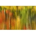 thumbnail image 2 of Bush, Marie 14x11 White Modern Wood Framed Museum Art Print Titled - MI Reflection of autumn birch and maple trees, 2 of 4