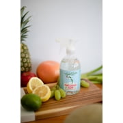 Rebel Green Fruit & Veggie Clean - Natural Produce Wash - Plant-Based Vegetable Wash - Fruit and Vegetable Wash with No Aftertaste - Sustainable Food Wash - 16 Fl Oz Spray Bottle (Pack of 2)