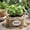 Khaki,A, variant on SHJHENG Straw Woven Flower Pots Flower Baskets Rattan Woven Green Plantss Succulents Decorative Storage Baskets Wicker Woven Straw Flower Pots And Carrying Baskets