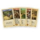 thumbnail image 2 of Juego de cartas CATAN The Struggle Juego de cartas para adultos mayores de 10 años, 2 of 3