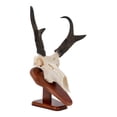 thumbnail image 2 of Allen Company Ez Skull Wood Mount Presentation Pedestal & Plaque, 13" x 6" x 7", Model 9022, 2 of 13