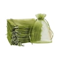 thumbnail image 1 of 100Pcs Fruit Protection Bags (4X6 Inches) Green Mesh Lid Bag Drawstring Mesh for Fruit Protection Vegetable Garden, 1 of 4