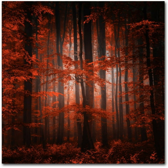 Trademark Fine Art "Red Parallel Universe" Canvas Art by Philippe Sainte-Laudy