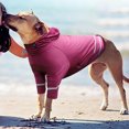 thumbnail image 4 of CBFFDC Quick Drying Pet T-shirt Pet T shirt Soft Breathable Reflective Strip Comfortable Quick Drying Protection Polyester Sports Dog T shirt with Hat Outdoor, 4 of 7