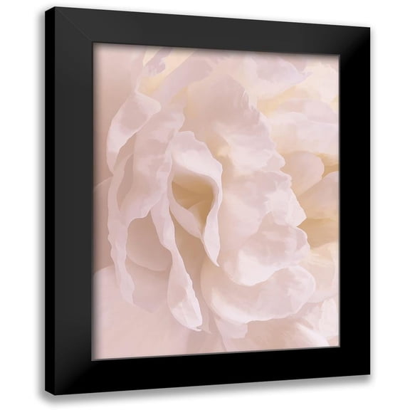 Pollard, David 12x14 Black Modern Framed Museum Art Print Titled - Peony Peaches and Cream II