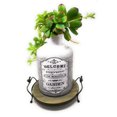 thumbnail image 4 of Tierra Garden 64-0525 Caddy pour Plantes, 11.4 Pouces Rond, Gris, 4 of 4