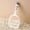 White, variant on Cat Litter Scoop, Kitty Litter Scoop, Cat and Dog Poop Collector, 3-Layer Mesh Design, Cute Cat Paw Handle, Easy Clean Plastic Scooper