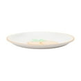 thumbnail image 4 of Mainstays Fruit Samba Bamboo Melamine Salad Plate Assorted Colour, 8in 1pc, 4 of 8