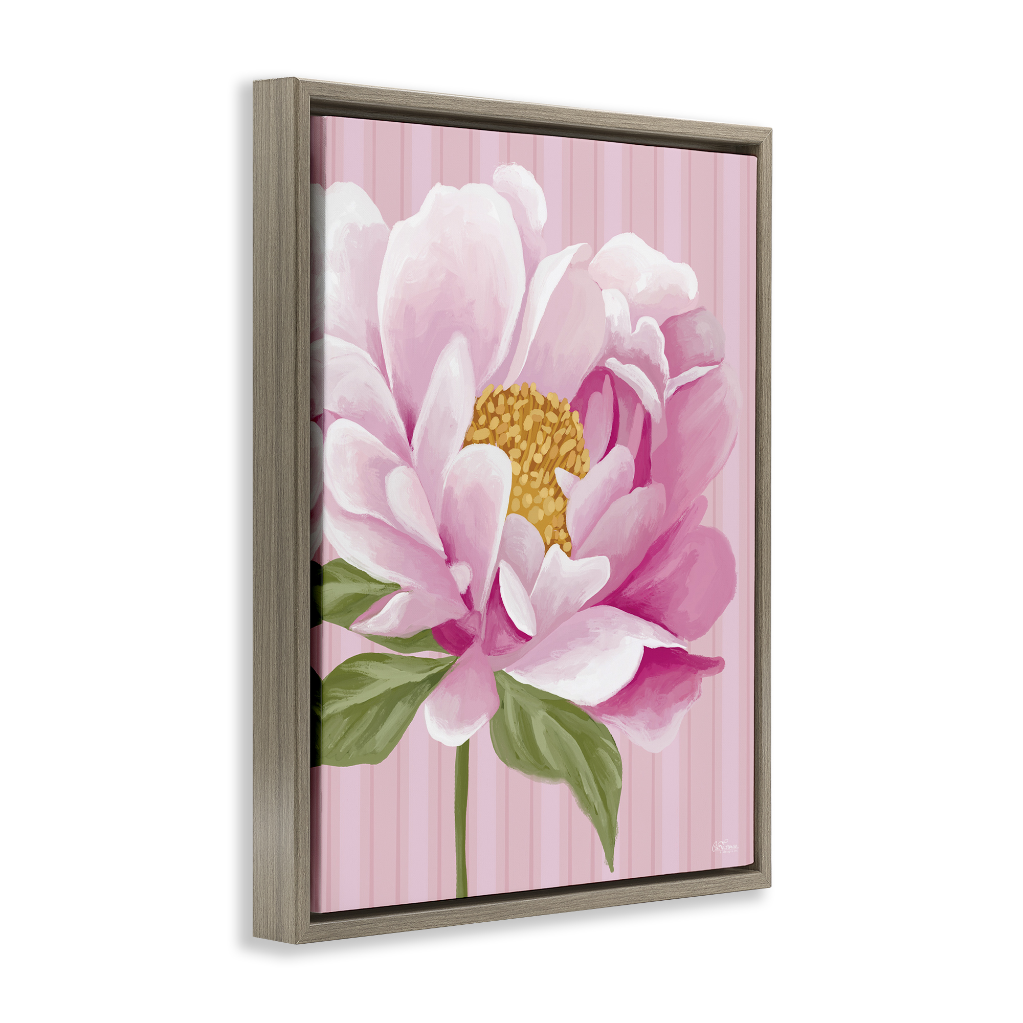 Stupell Industries Pink Carnation Bloom Botanical & Floral Painting Brown Floater Framed Art Print Wall Art, 25 x 31