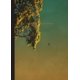 thumbnail image 1 of Remembering The Future (2Âª Reimpresión) ARTE 9788417047511, 1 of 2