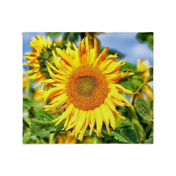 CafePress - Sunflower Throw Blanket - Soft Fleece Throw Blanket, 50"x60" for All Ages
