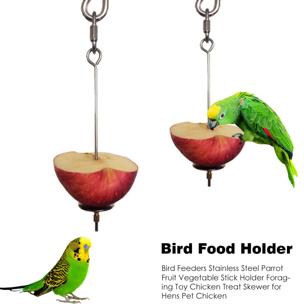 Fruit Vegetable Holder Skewer Stick for Parrot Bird Rabbit Hutch Caged Bird SALE