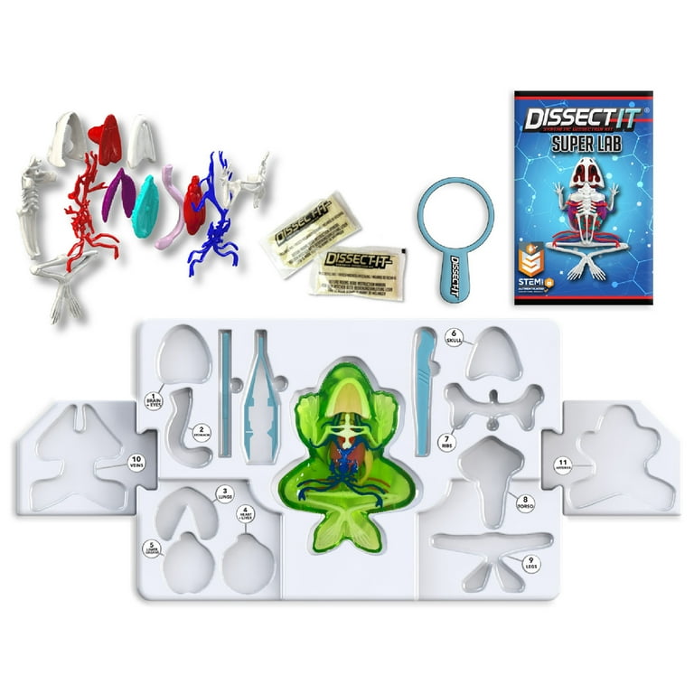 Dissect-It: Deluxe Super Frog Lab - Synthetic Dissection Kit