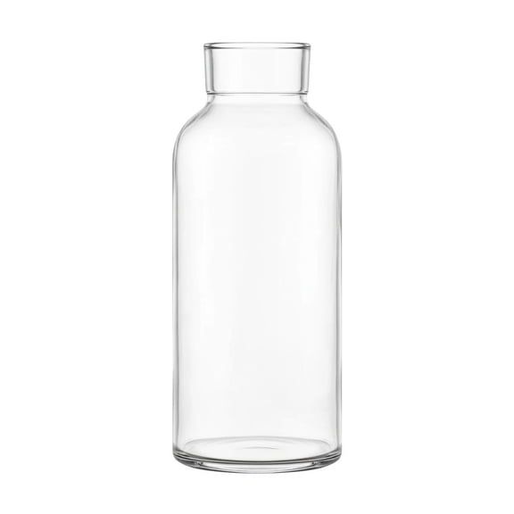 Molika Transparent Glass Vase